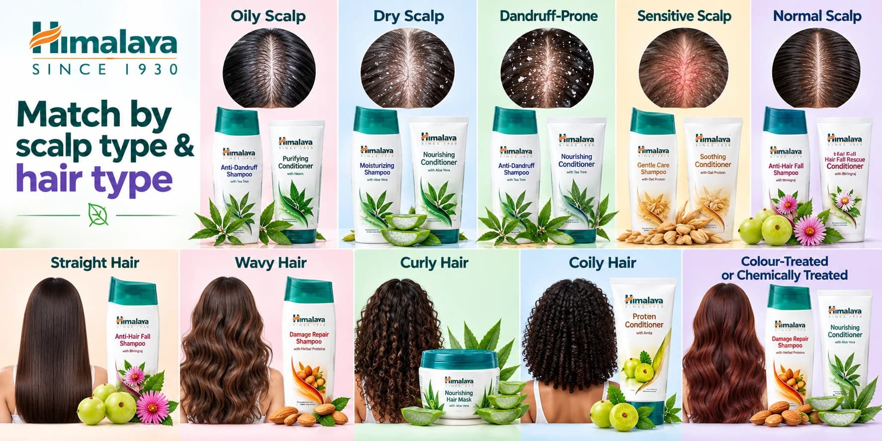 Himalaya haircare infographic showing how to choose shampoos, conditioners, hair oils and masks based on scalp type and hair texture.