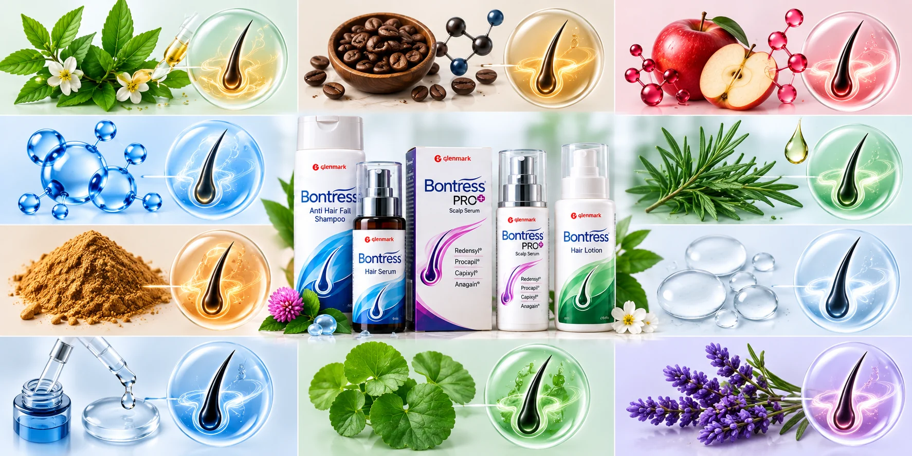 Bontress haircare products with nine illustrated ingredient families, botanical extracts, cosmetic compounds and labelled scalp serum bottles.
