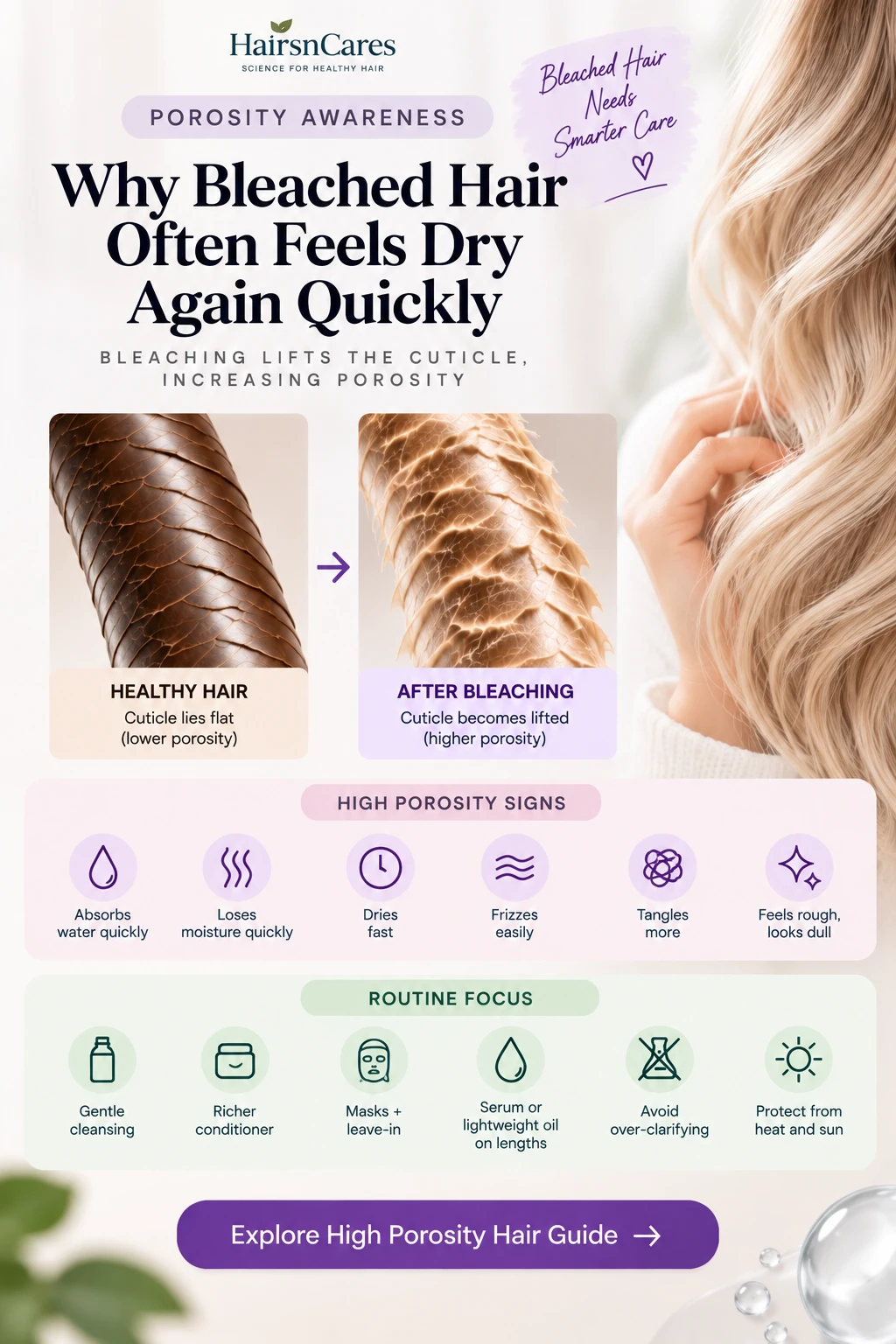 Healthy hair cuticle compared with high porosity bleached hair showing a lifted cuticle and moisture loss