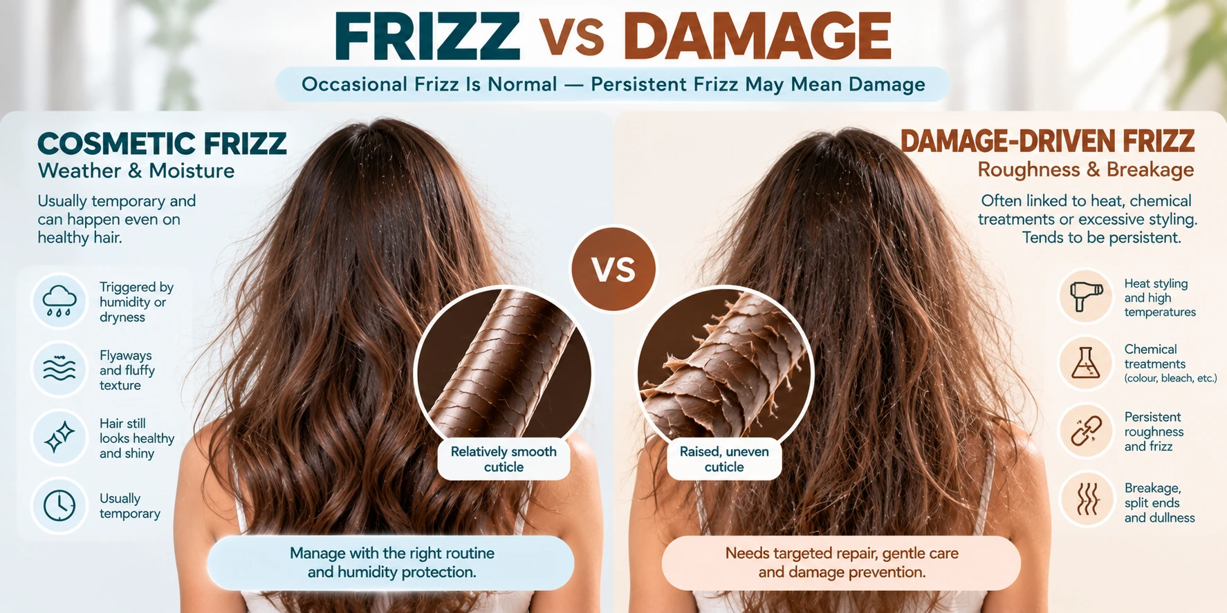 Frizz vs damaged hair comparison showing temporary flyaways from humidity or dryness and persistent roughness breakage and split ends linked with hair damage