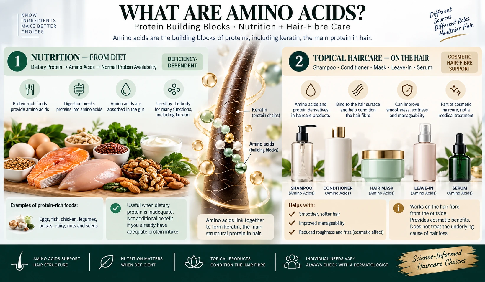 What Are Amino Acids for Hair? — Keratin, Nutrition & Haircare Amino acids for hair infographic explaining keratin building blocks, dietary protein and topical amino acid shampoo, conditioner, mask and serum.