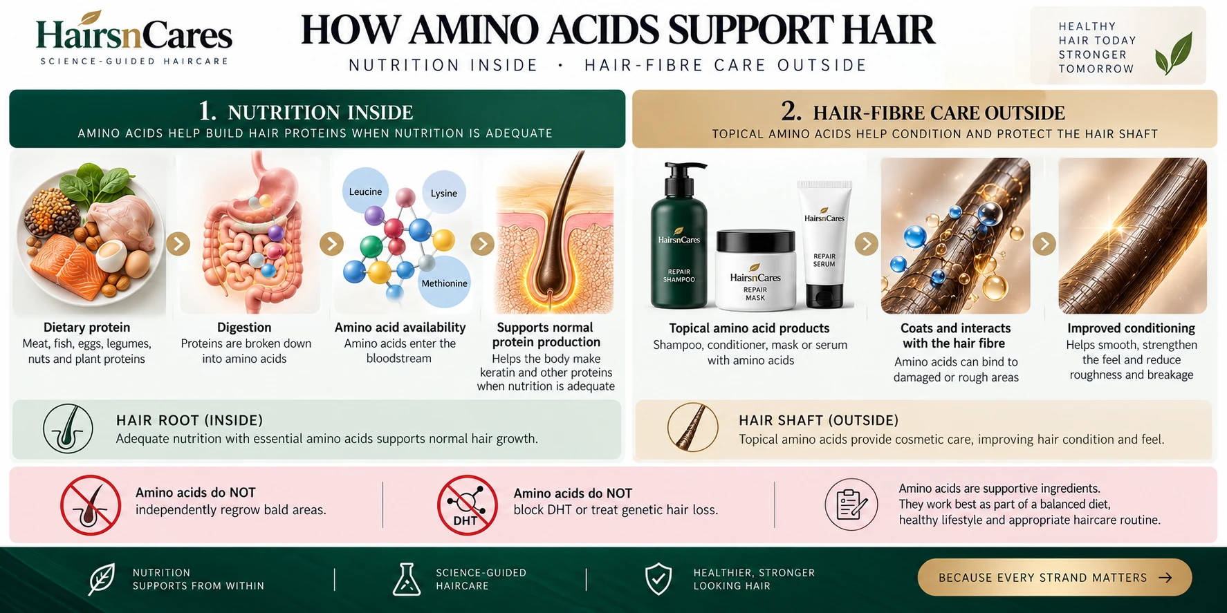 How Amino Acids Work for Hair — Nutrition & Hair-Fibre Mechanism How amino acids work for hair through dietary protein and topical hair-fibre care, supporting normal protein production and conditioning damaged hair.