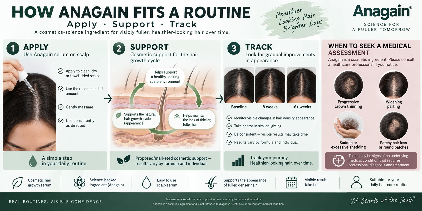 How Anagain Works — Cosmetic Hair Growth Cycle & Density Support How Anagain works as a cosmetic hair serum with proposed hair-growth-cycle support, density tracking and signs that need medical assessment.