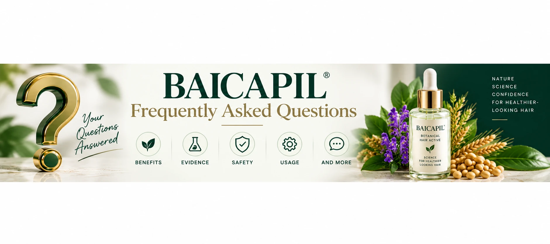 FAQs — banner