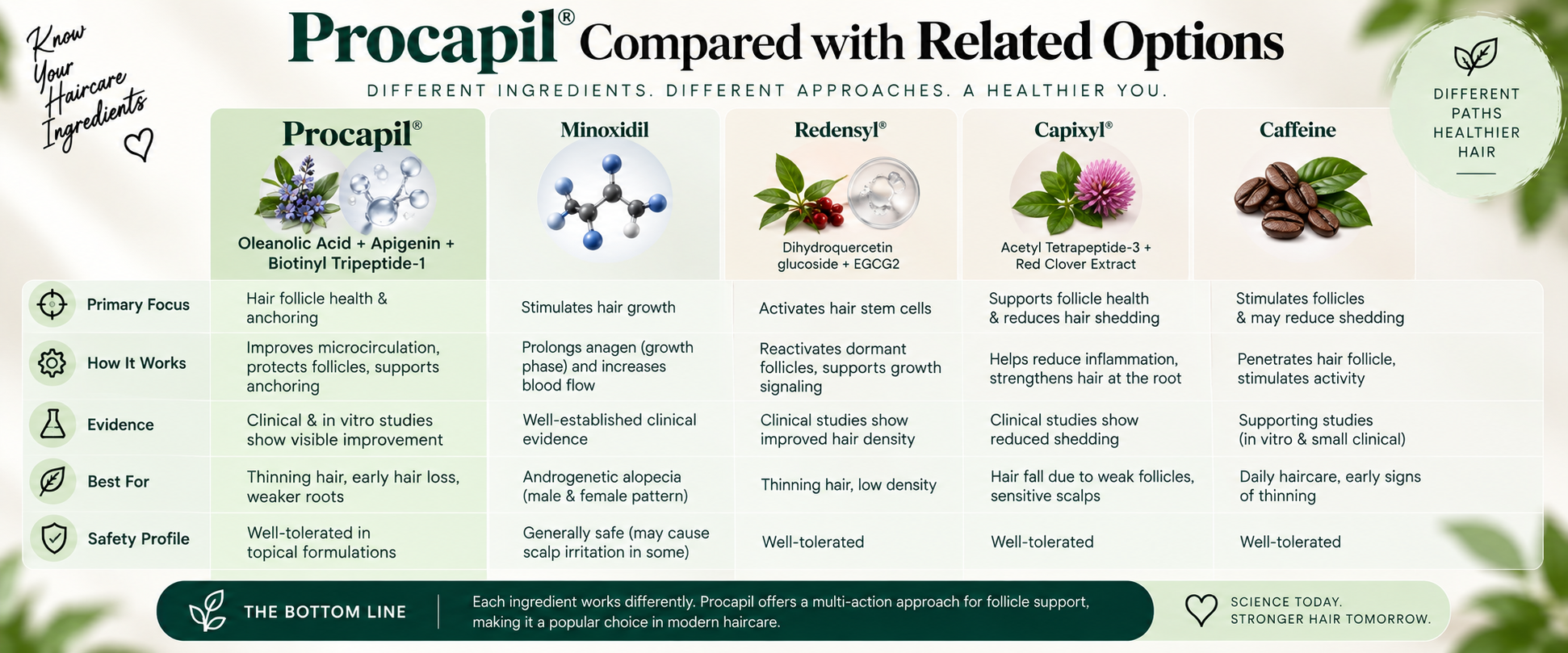 Procapil Compared with Related Haircare Options Procapil compared with related haircare ingredients including Minoxidil, Redensyl, Capixyl, and Caffeine.