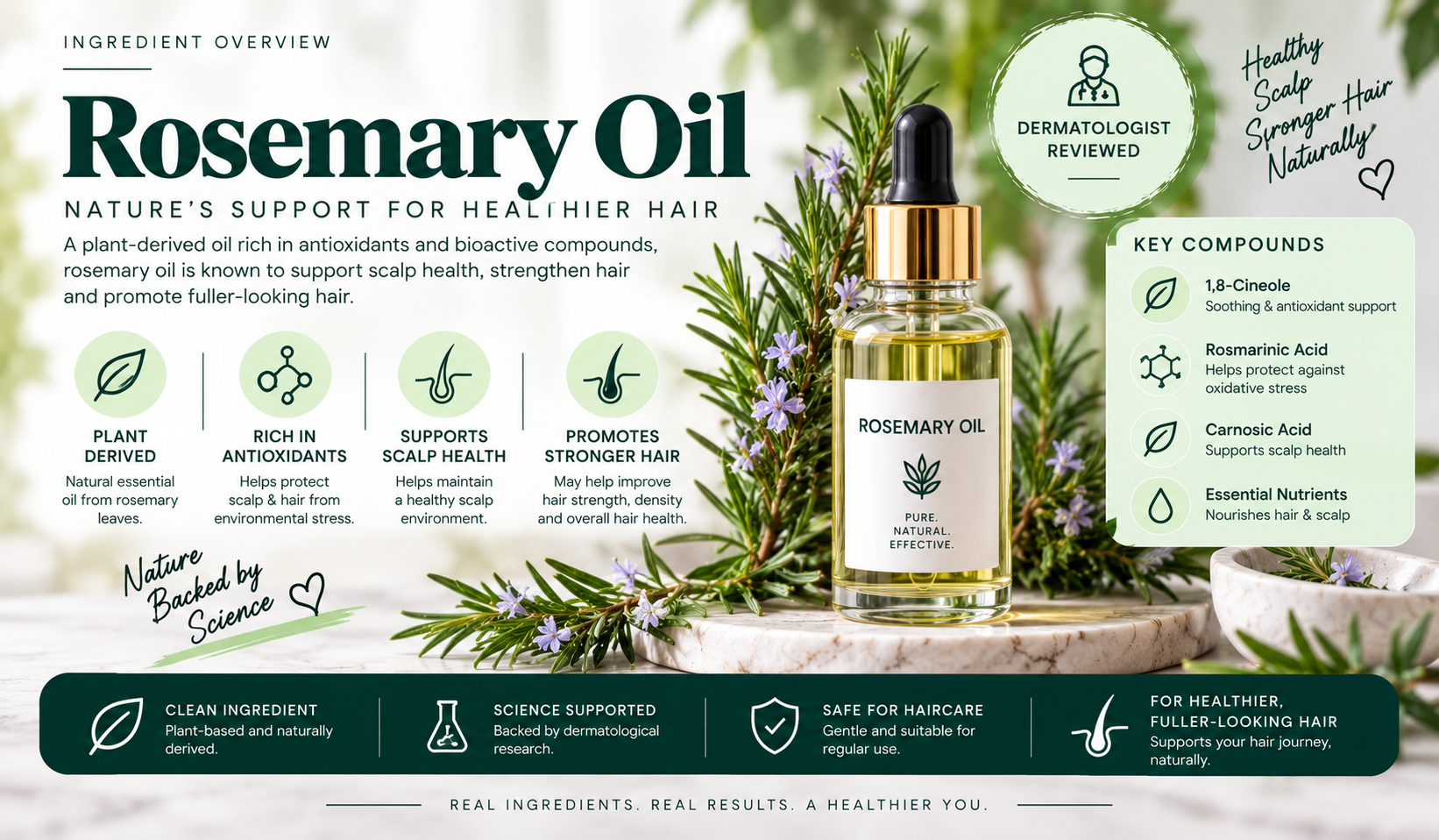 Rosemary Oil Ingredient Overview for Haircare Rosemary Oil ingredient overview for haircare, dermatologist-reviewed.