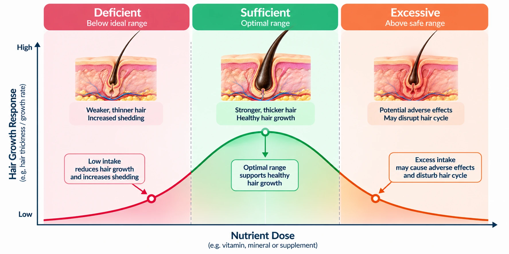 Three-zone diagram comparing nutrient deficiency, adequate status and excessive intake in relation to hair biology.