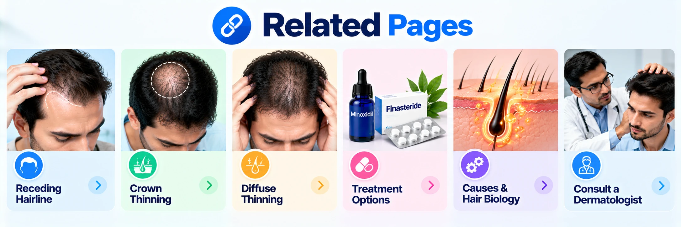Related hair loss guides covering receding hairline, crown thinning, diffuse thinning, treatment options, hair biology, and dermatologist consultation.