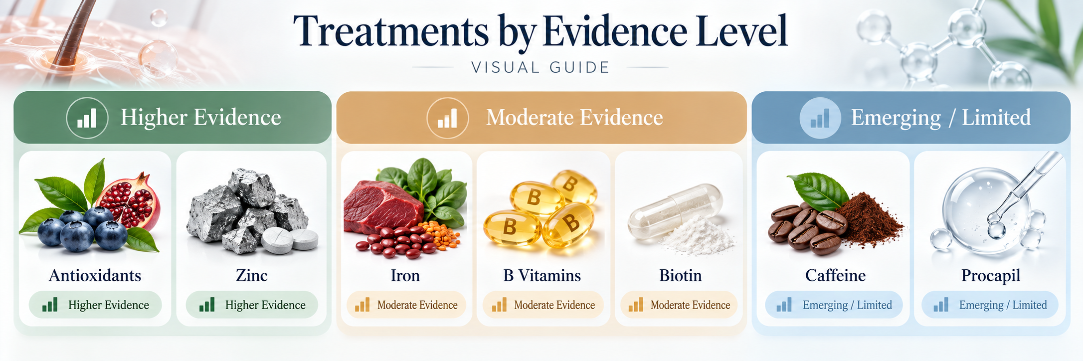 Hair loss treatment evidence guide showing antioxidants, zinc, iron, B vitamins, biotin, caffeine and Procapil