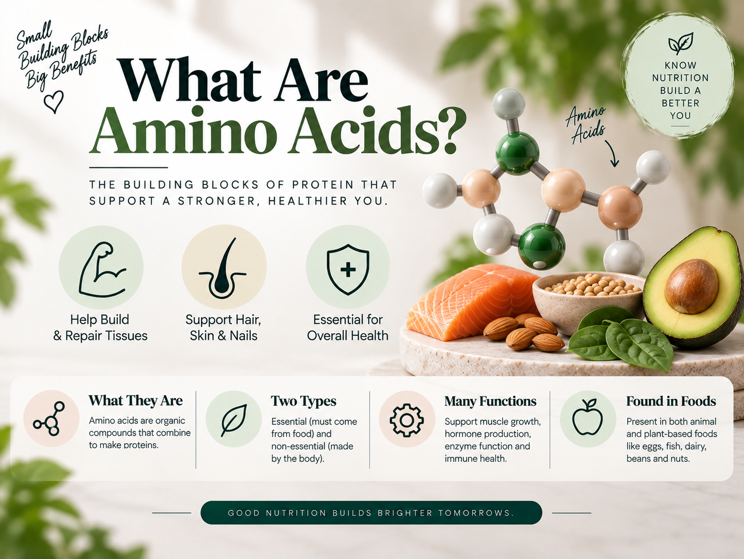 What Are Amino Acids? What are amino acids? Infographic explaining their role as protein building blocks and support for hair, skin, nails, and overall health.