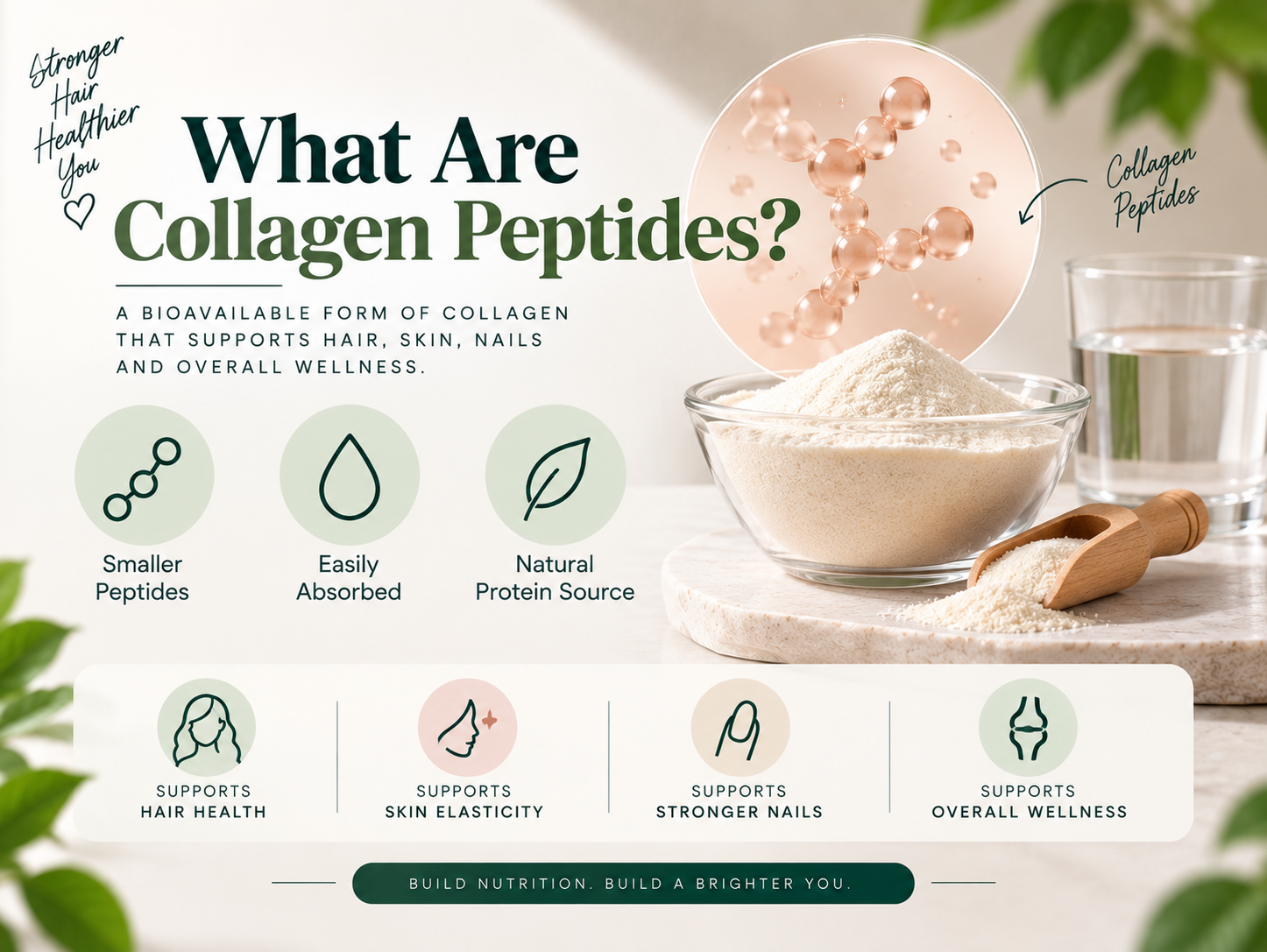 What Are Collagen Peptides? Collagen peptides powder with molecular imagery highlighting support for hair, skin, nails, and overall wellness.