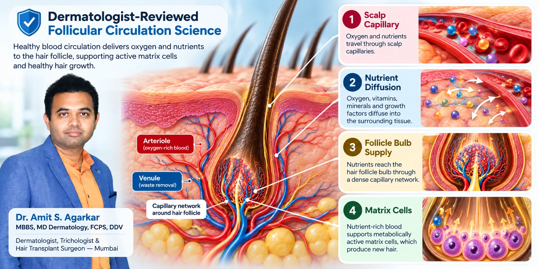 Dr. Amit Agarkar, dermatologist reviewer of the HairsnCares Hair Follicle Blood Supply guide.